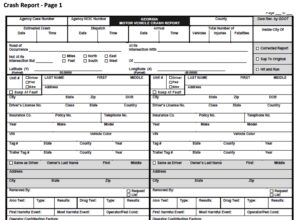 Georgia Motor Vehicle Crash Report
